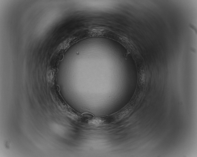 X0000101210759200807111033