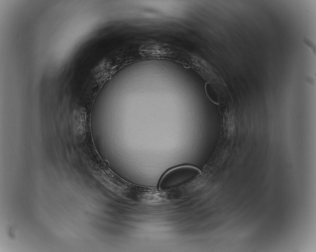 X0000101210760200807111033