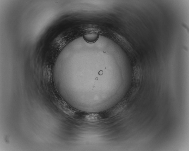 X0000101210761200807111033