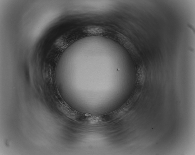 X0000101210762200807111033