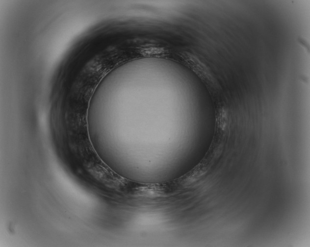 X0000101210763200807111033