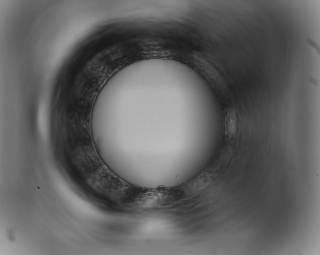 X0000101210764200807111033