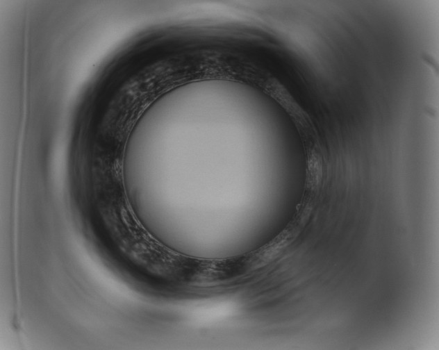 X0000101210765200807111033