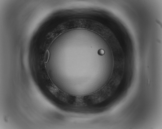 X0000101210766200807111033