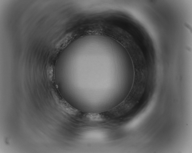 X0000101210767200807111033