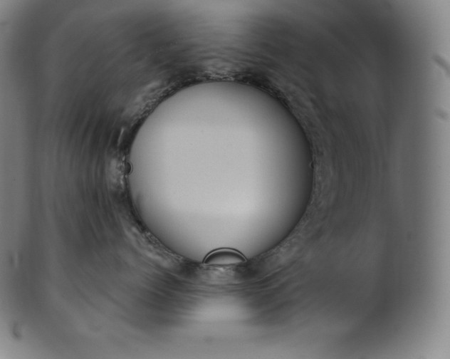 X0000101210768200807111033