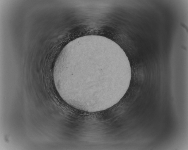 X0000101210769200807111032