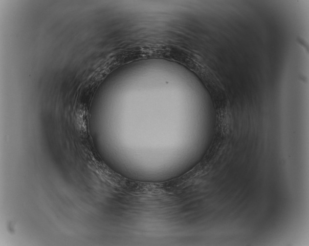 X0000101210770200807111032