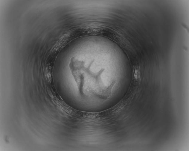 X0000101210771200807111032