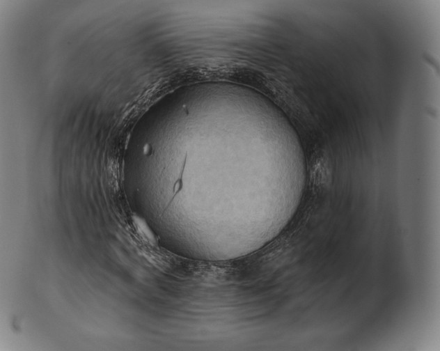 X0000101210772200807111032