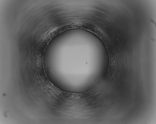 X0000101210773200807111032