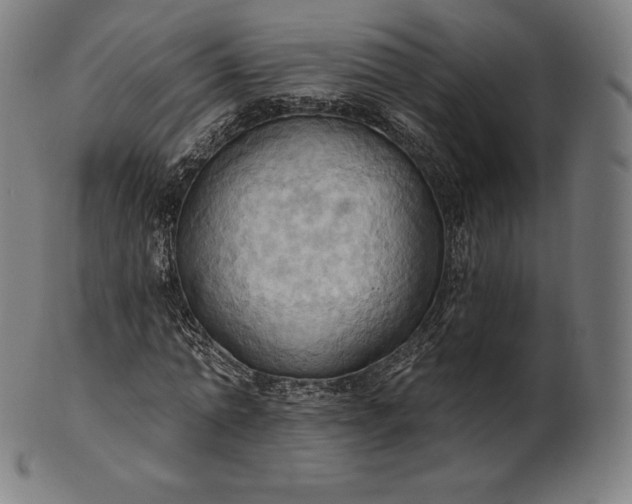 X0000101210774200807111032