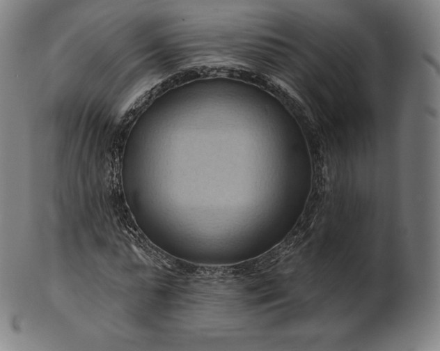 X0000101210775200807111032