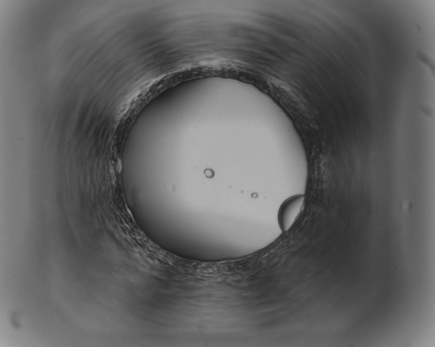 X0000101210776200807111032