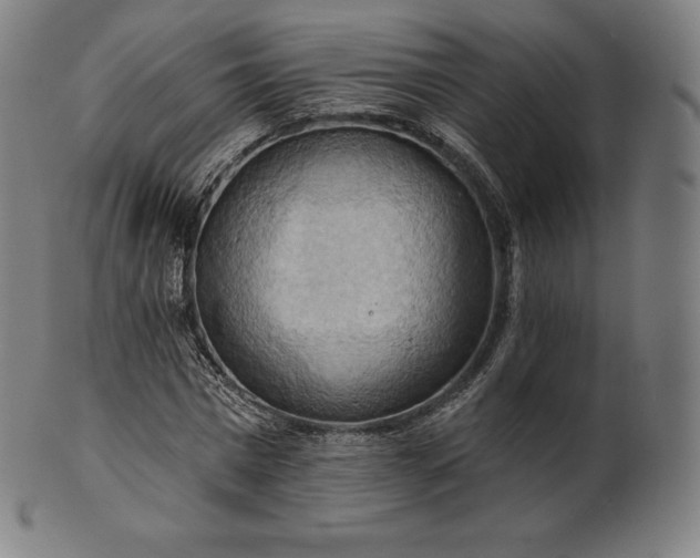 X0000101210777200807111032