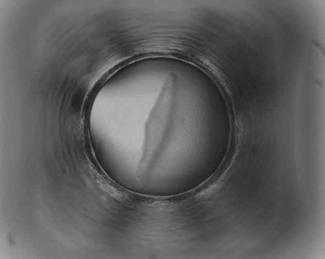 X0000101210779200807111032