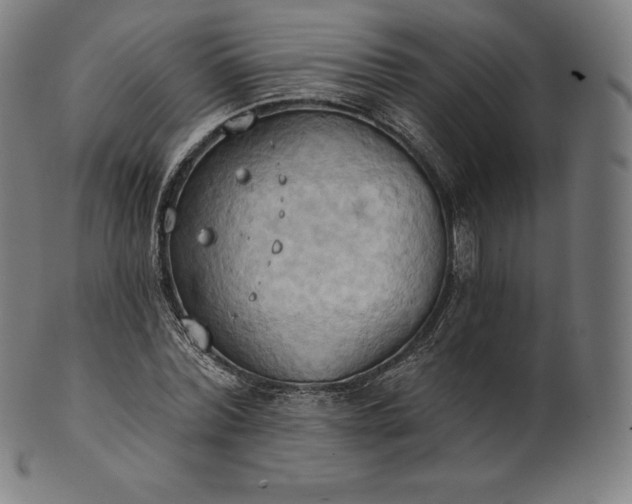 X0000101210780200807111032