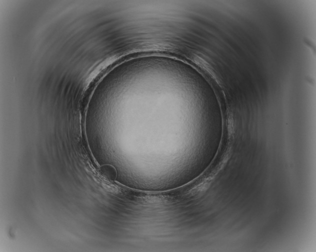 X0000101210781200807111032