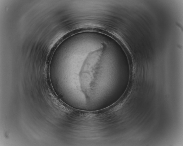 X0000101210783200807111032