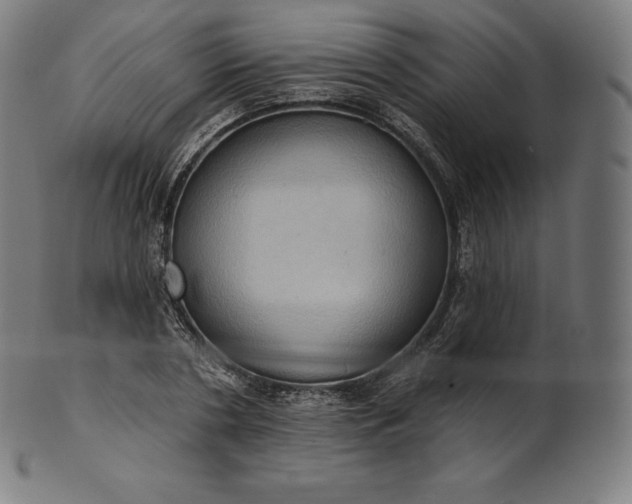 X0000101210786200807111032