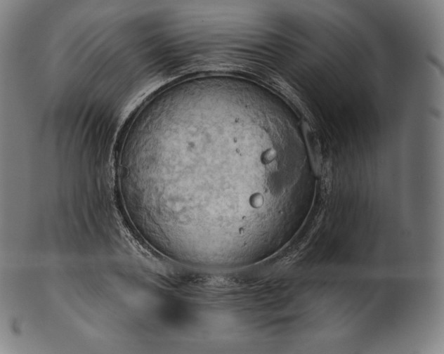 X0000101210787200807111032