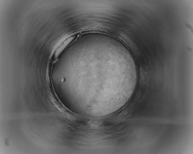 X0000101210788200807111032