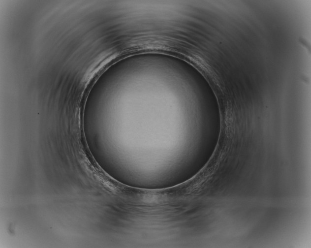 X0000101210790200807111032