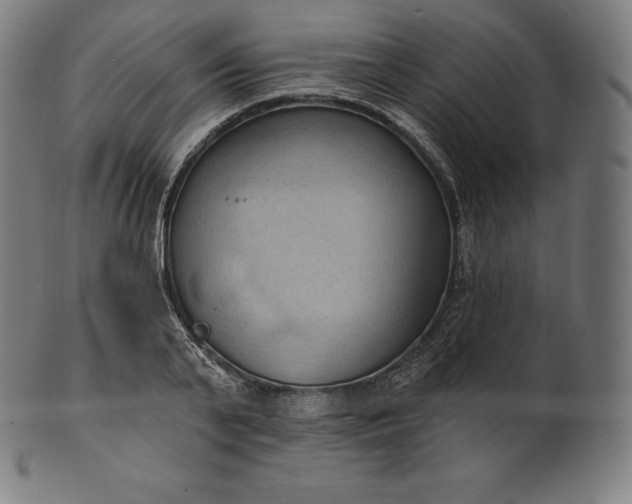 X0000101210791200807111032