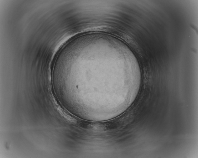 X0000101210792200807111032