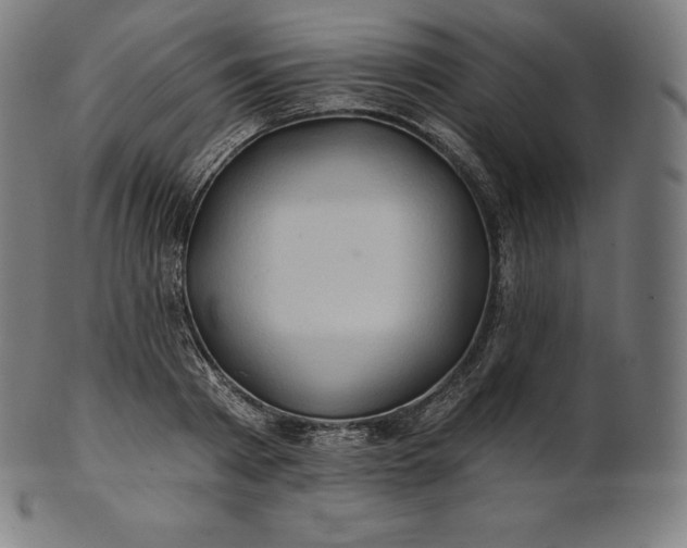 X0000101210793200807111032