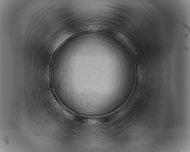 X0000101210794200807111032