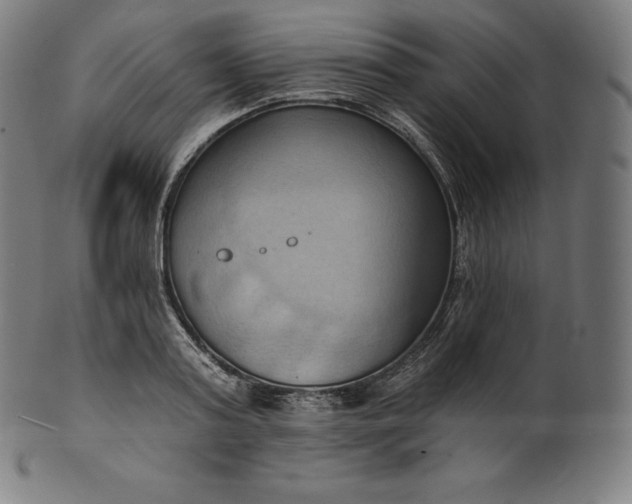 X0000101210795200807111032