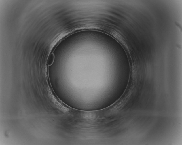 X0000101210797200807111032