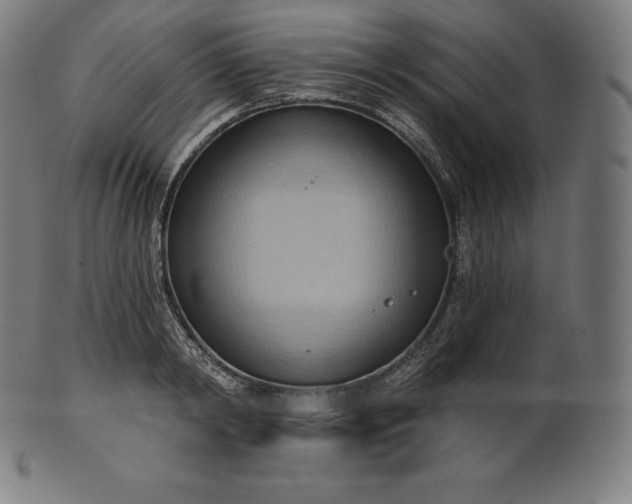 X0000101210798200807111032