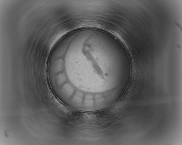 X0000101210799200807111032