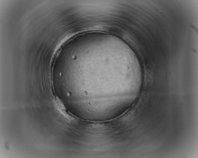 X0000101210800200807111032