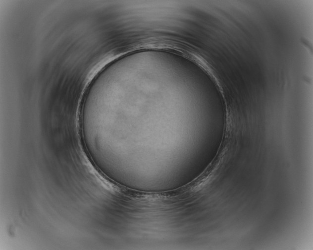 X0000101210803200807111032