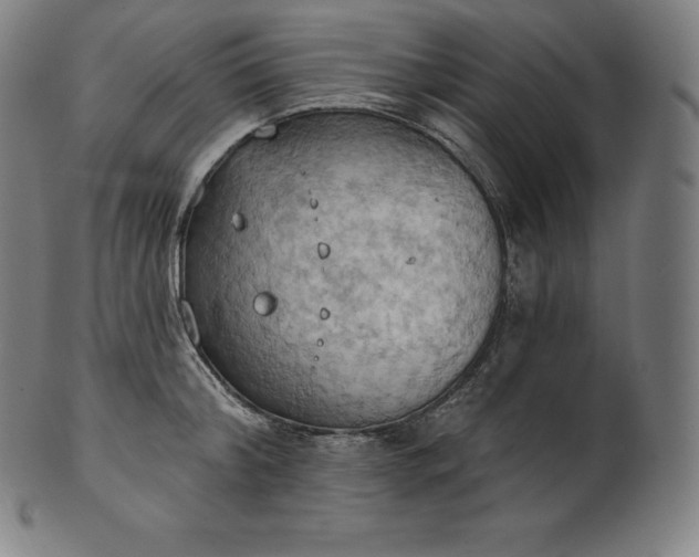 X0000101210804200807111032