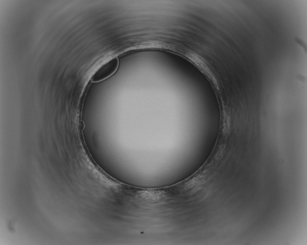 X0000101210805200807111032