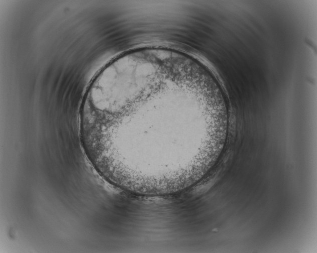 X0000101210807200807111032