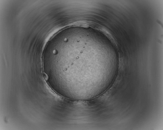 X0000101210808200807111032