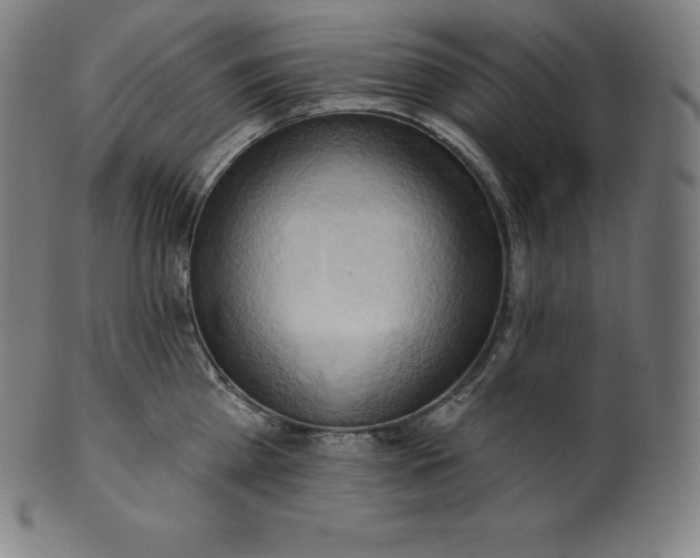 X0000101210809200807111032