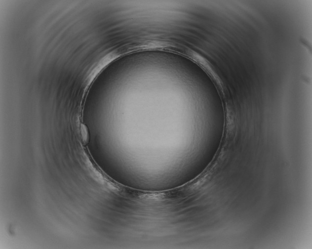 X0000101210810200807111032