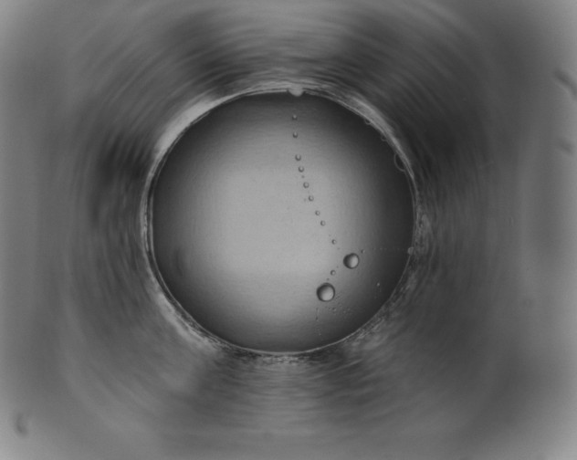 X0000101210811200807111032