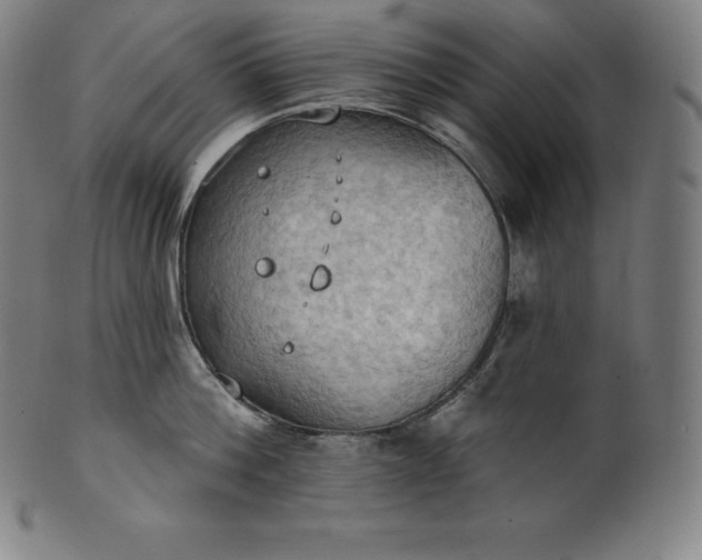 X0000101210812200807111031