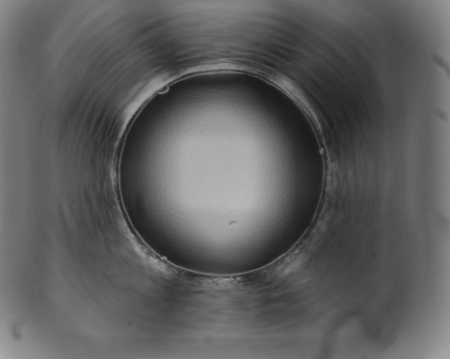 X0000101210813200807111031