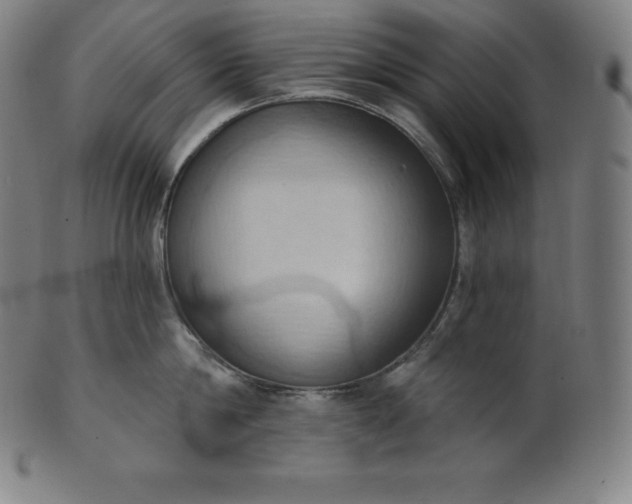 X0000101210814200807111031