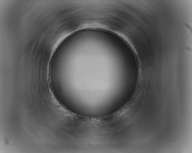 X0000101210815200807111031