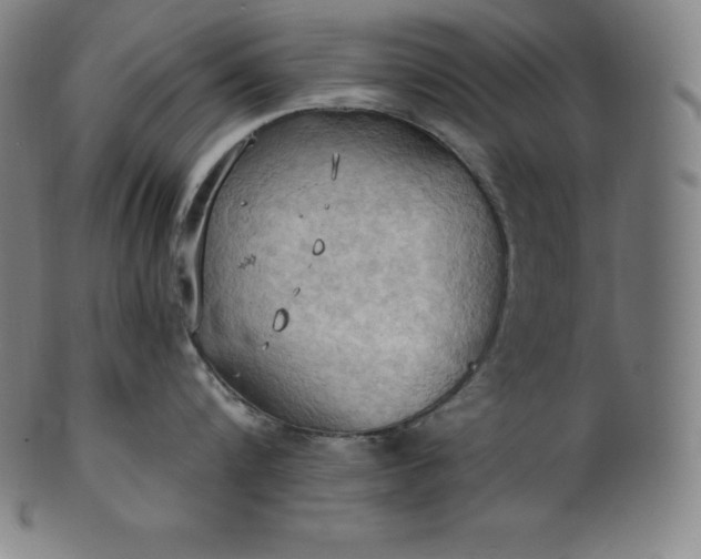 X0000101210816200807111031