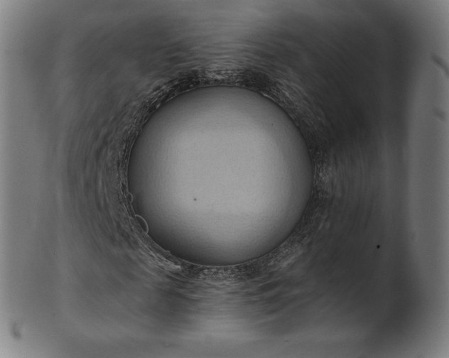 X0000101210817200807111031